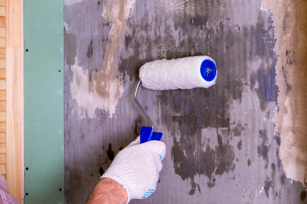 Traiter les moisissures sur les murs causées par l'humidité